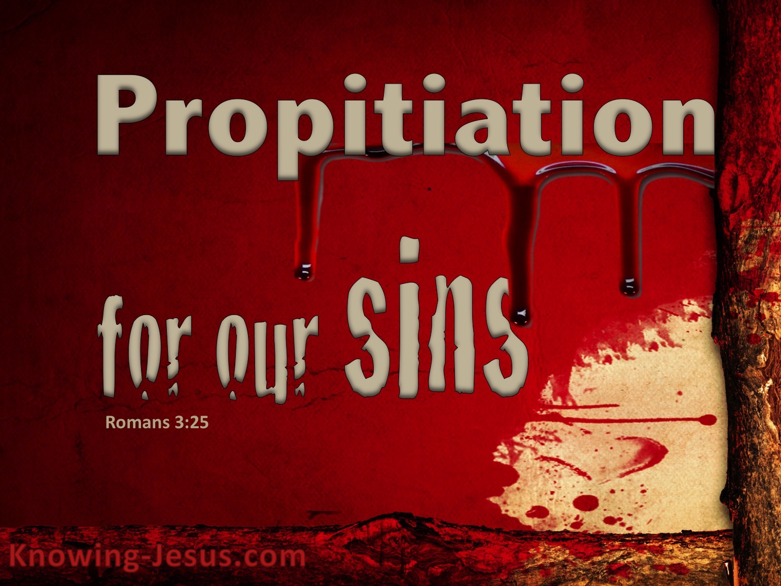 What Does Romans 3 25 Mean 